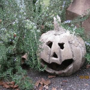 Meet your Posher, Jackson